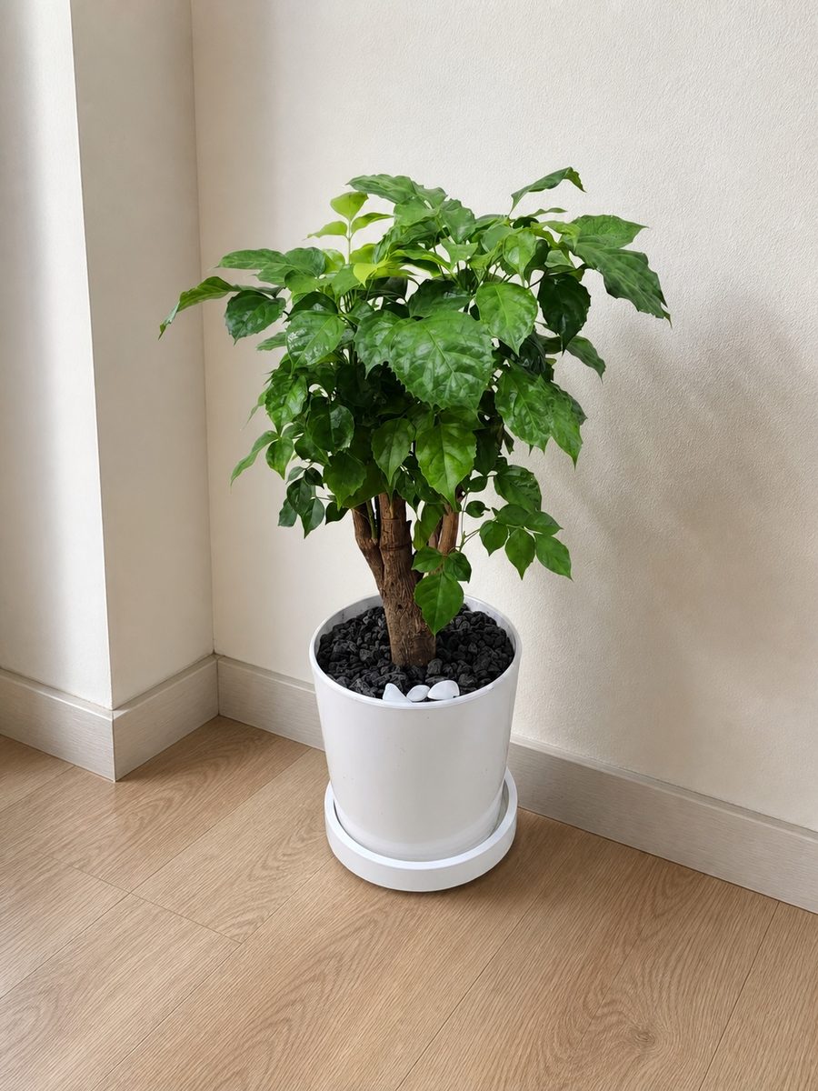 녹보수
